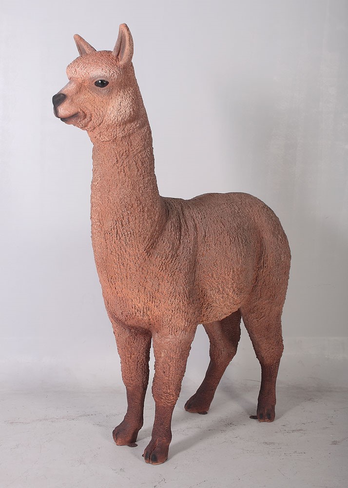 Alpaca - Dark | JR 080074 - Image 7