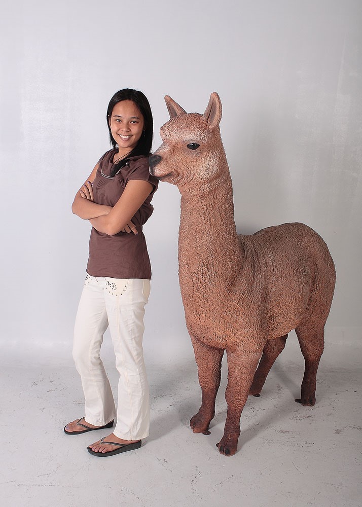 Alpaca - Dark | JR 080074 - Image 2