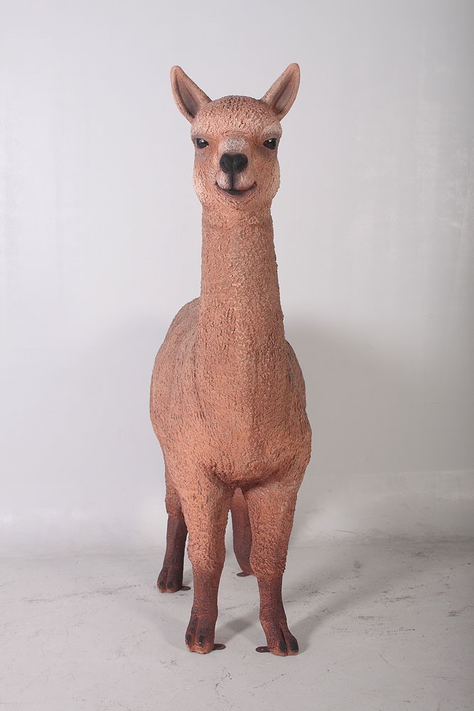 Alpaca - Dark | JR 080074 - Image 6