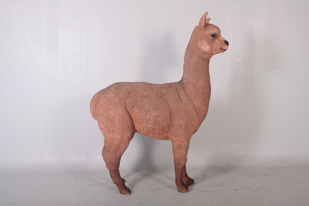 Alpaca - Dark | JR 080074 - Image 5