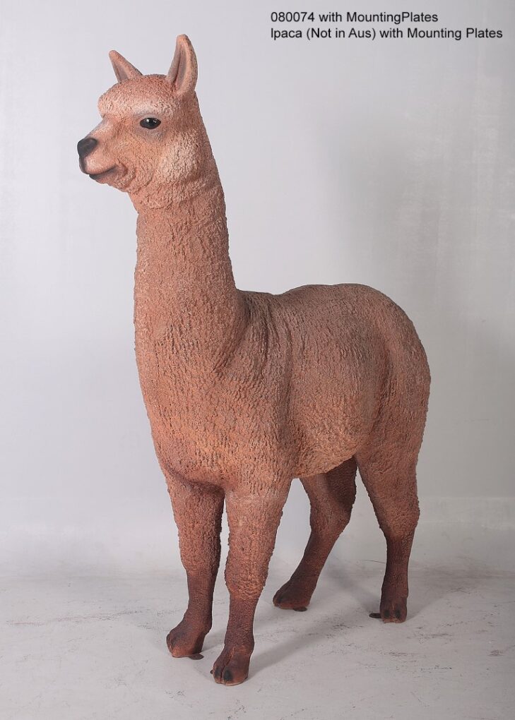 Alpaca - Dark | JR 080074