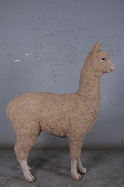 ALPACA JR 080074 - Image 2