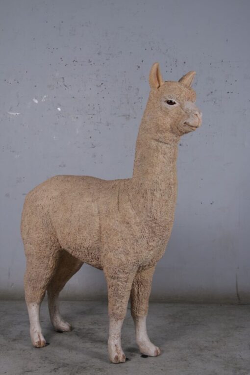 ALPACA JR 080074