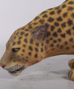 Leopard | JR 080110