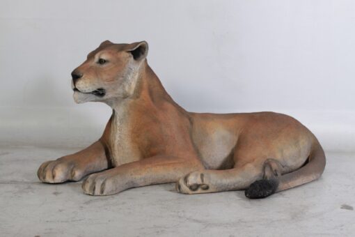 LIONESS LYING JR 080115 - Image 8