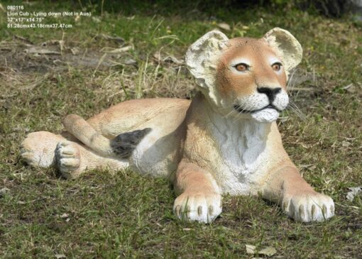 LION CUB LYING JR 080116