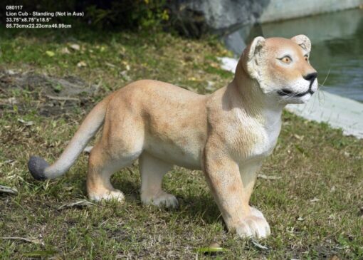 LION CUB STANDING JR 080117