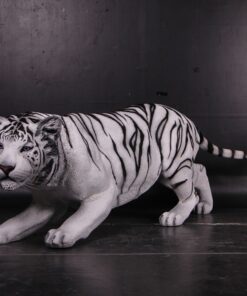 TIGER - BENGAL JR 080120 - White JR 080120W