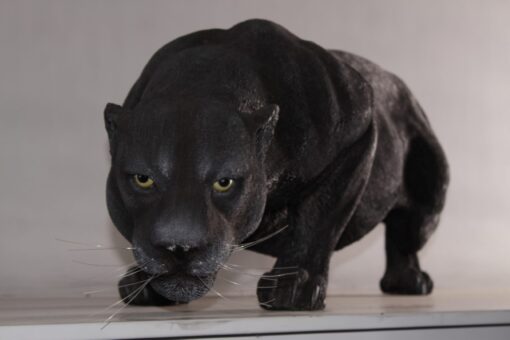 BLACK PANTHER JR 090011 - Image 10