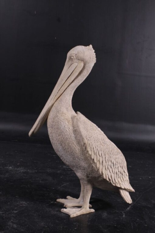 PELICAN STANDING JR 090073 - Image 2