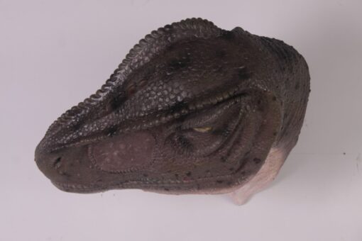 ALLOSAURUS HEAD LOOKING BACK JR 100014 - Image 5