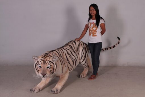 SIBERIAN TIGER - WHITE JR 100016W