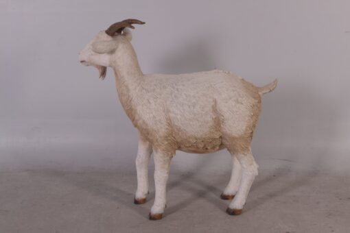 GOAT JR 100044 - Image 5