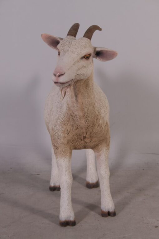 GOAT JR 100044 - Image 4