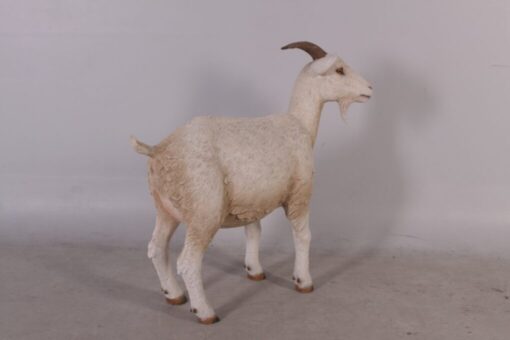 GOAT JR 100044 - Image 2