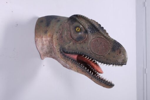 ALLOSAURUS HEAD LOOKING STRAIGHT JR 100052 - Image 6