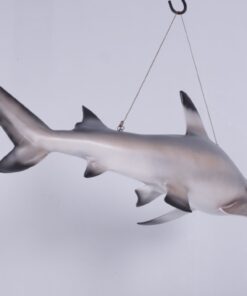 100074 black tip reef shark