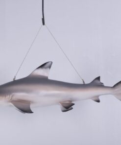 BLACK TIP REEF SHARK JR 100074