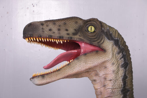 VELOCIRAPTOR JR 110015 - Image 4