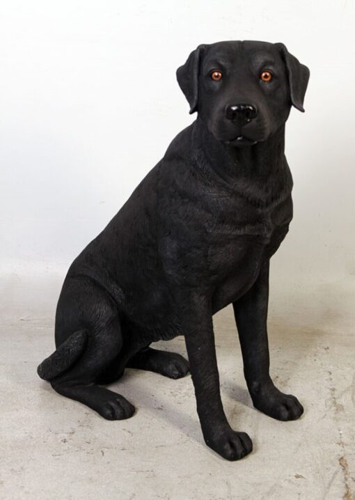 LABRADOR SITTING JR 110098