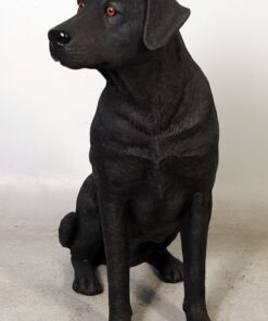 Alternative view of Labrador Dog - Black - Sitting | JR 110098