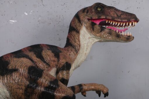 DROMAEOSAURUS JR 110115 - Image 10