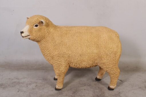 RYELAND EWE JR 120006