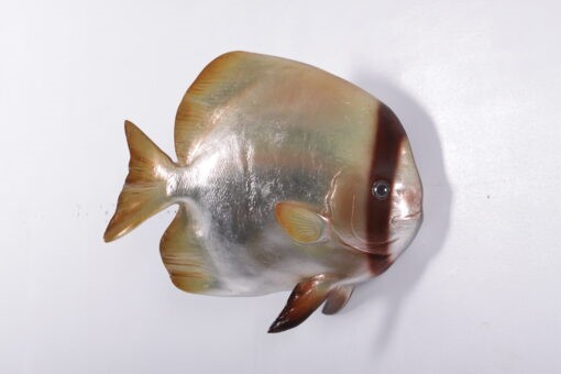 BATFISH JR 120061 - Image 8