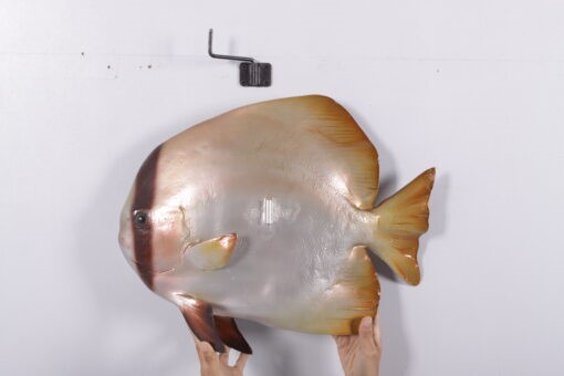 BATFISH JR 120061 - Image 7