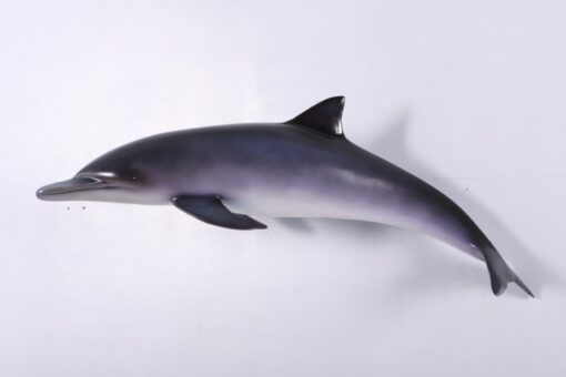 DOLPHIN JR 120062 - Image 4