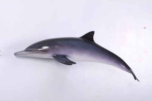 DOLPHIN JR 120062 - Image 2