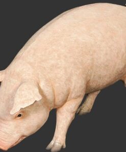 Fat pink Pig | JR 120073