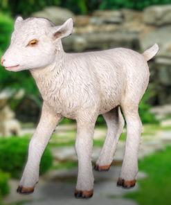 Goat Kid - Standing | JR 130014