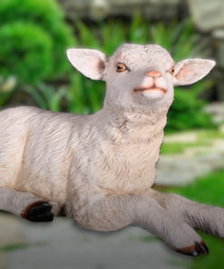 Goat Kid - Lying | JR 130015