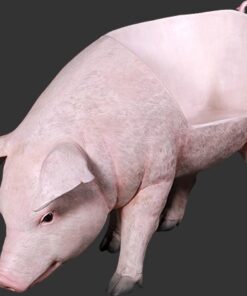 Fat Pink Pig - Bench | JR 130077