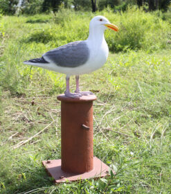 Alternative view of Seagull on Mooring Bollard | JR 130088