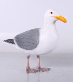 Alternative view of Seagull | JR 130111