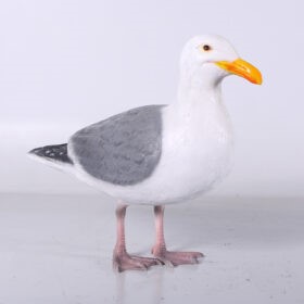 Seagull | JR 130111 - Image 2