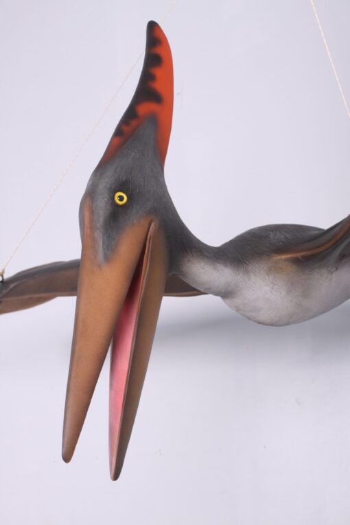 PTERANODON JR 140025 - Image 9