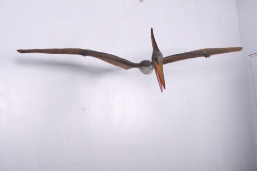 PTERANODON JR 140025 - Image 8