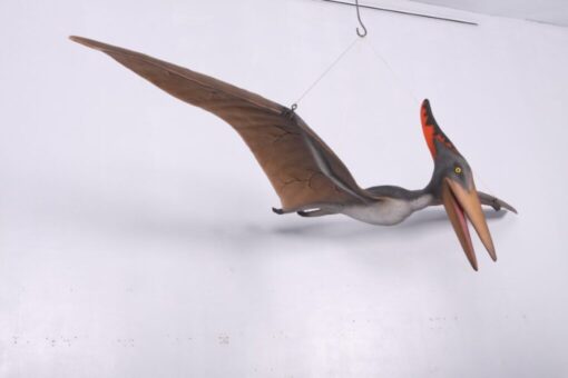 PTERANODON JR 140025