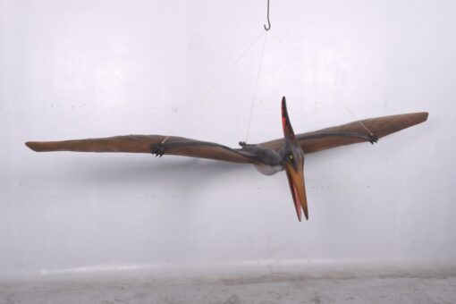 PTERANODON JR 140025 - Image 6