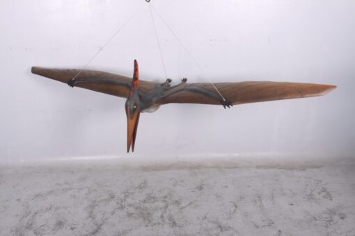 PTERANODON JR 140025 - Image 5