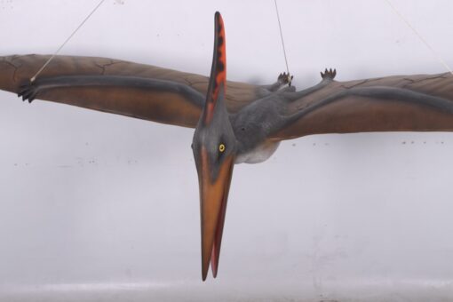 PTERANODON JR 140025 - Image 4