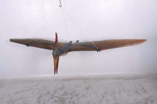 PTERANODON JR 140025 - Image 3