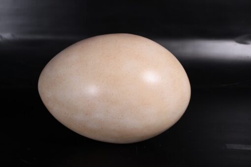 SAUROPOD EGG 12 INCH PRIMER JR 140033 - Image 4