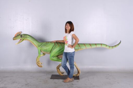 GUANLONG WUCAII JR 140071 - Image 5