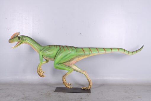 GUANLONG WUCAII JR 140071 - Image 9