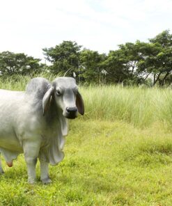 Alternative view of Brahman Bull - Grey | JR 140101