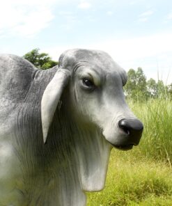 Brahman Bull - Grey | JR 140101